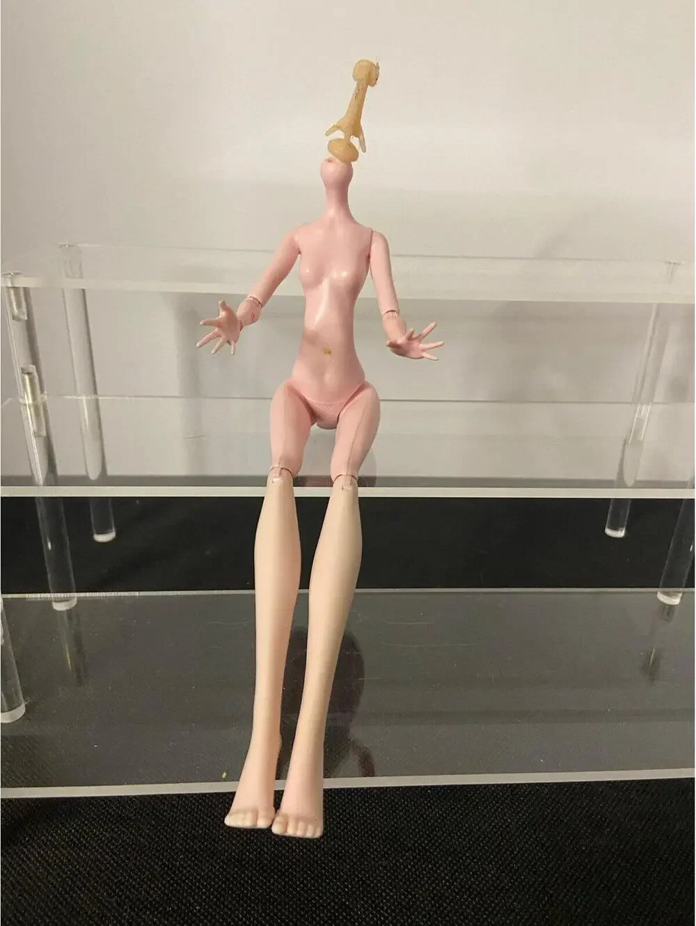 Doll body‎